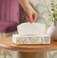 Paper Facial Tissues for Personal and Commercial Use